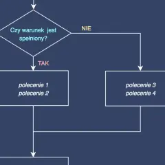 Schemat blokowy ilustrujący, co to jest instrukcja warunkowa: "Czy warunek jest spełniony?" - jeśli TAK, wykonaj polecenie 1 i 2; jeśli NIE, wykonaj polecenie 3 i 4.