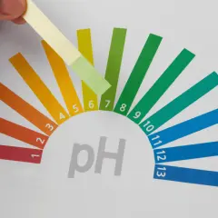 Test de pH : une bandelette réagit avec l'eau adoucie, montrant un résultat entre 6 et 7.