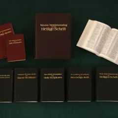 Różne wydania Pisma Świętego w Przekładzie Nowego Świata, w tym w języku duńskim, holenderskim, francuskim, włoskim, szwedzkim i niemieckim.