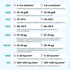 Wyniki mch morfologii: średnia masa hemoglobiny w krwince (27-32 pg) i średnie stężenie hemoglobiny (32-36 pg).