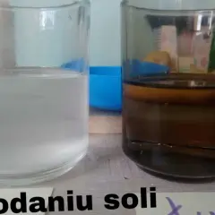 Zaskakujące efekty eksperymentu z ziemniakiem i solą w osmozie