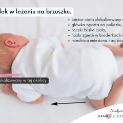 Noworodek na brzuchu, z ciężarem ciała skupionym wysoko, główka oparta na policzku, rączki blisko ciała, nóżki zgięte, miednica uniesiona.