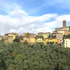 Un pittoresco borgo a Buggiano, con case colorate arroccate su una collina ricoperta di ulivi, sotto un cielo azzurro con nuvole bianche.