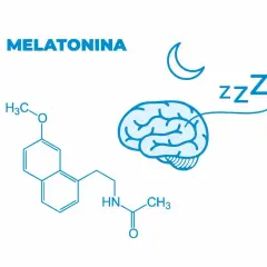 Melatonina, hormon odpowiedzialny za sen, przedstawiona jako wzór chemiczny i symbol mózgu z księżycem i literami "zzz".