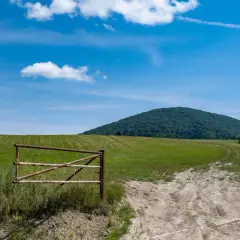 Brama na łące, za nią wznosi się zalesione wzgórze, przypominające swym kształtem lacką ścianę płaczu.