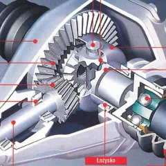 Przekrój mechanizmu różnicowego: koło talerzowe, zębate, satelity i półosie. Kluczowy element napędu.