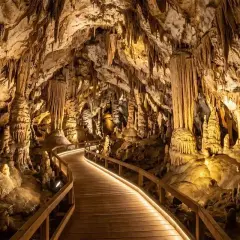 Drewniana ścieżka prowadzi przez jaskinię pełną stalaktytów i stalagmitów. To piękny przykład tego, czym jest speleologia.