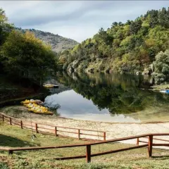 Un área de berres con botes amarillos esperando en la orilla arenosa, rodeada de exuberante vegetación y un lago tranquilo.