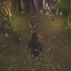 Spolszczenie do Risen 2: Jak uniknąć problemów z instalacją i dubbingiem
