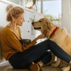 Une jeune femme assise au sol, tenant un bol, caresse son golden retriever. Une scène tendre qui rappelle l'importance de savoir comment faire garder son chien.