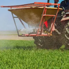 Czerwony traktor rozsiewa nawóz wapniowy na zielonym polu, dbając o zdrowie upraw.