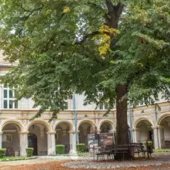 Najlepsze atrakcje w Krapkowicach, które musisz zobaczyć podczas wizyty