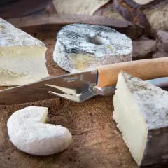 Varietà di formaggi a pasta molle, tra cui un caprino e un formaggio a crosta fiorita, pronti per essere gustati con un coltello Opinel.