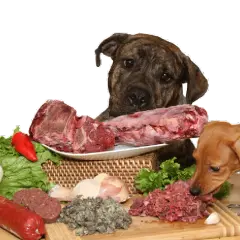 Es bueno darle carne cruda a los perros: riesgos y beneficios que debes conocer