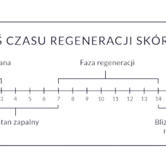 Oś czasu regeneracji skóry: otwarta rana (dni 1-3), stan zapalny (dni 1-6), faza regeneracji (dni 7-14), bliznowacenie naskórka (do 6 miesięcy). Pielęgnacja tatuażu zależy od fazy gojenia.