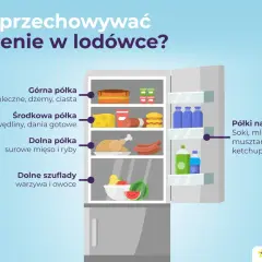 Ilustracja pokazuje wnętrze lodówki z podziałem na półki i szuflady, wyjaśniając zasady przechowywania żywności.