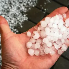 Mit o szronie: jak powstaje i jakie ma rodzaje oraz różnice