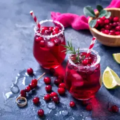 Dwa orzeźwiające drinki z żurawiną i limonką, idealne co na aperitif.