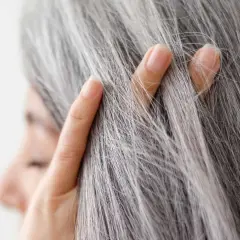 Dedos acarician el pelo gris, señal de que la melanina ha comenzado su viaje hacia la sabiduría.