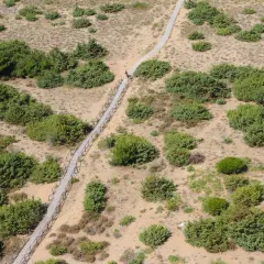 Sentiero in legno serpeggia tra la vegetazione della pineta di levante. Due persone passeggiano.