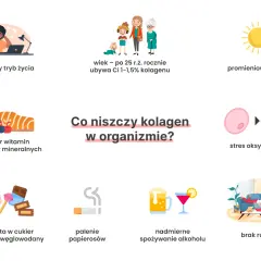 Stres, wiek, UV, niedobory, cukier, papierosy, alkohol i brak ruchu to czynniki, co niszczy kolagen w organizmie.