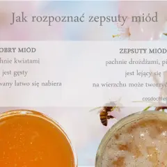 Jak rozpoznać zepsuty miód: dobry pachnie kwiatami, jest gęsty; zepsuty drożdżami, lejący się, z pianą.