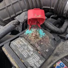 Vano batterie auto con forte ossidazione bluastra sui morsetti. Guida su come pulire vano batterie ossidato.