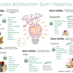 Fichtennadeln wirken auf die Seele, fördern Serotonin für Freude und Dankbarkeit. Ein Duft für Glücksgefühle.