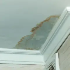Taches brunes sur le plafond de la salle de bain, signe de moisissure malgré la VMC. Problème d'humidité persistant.
