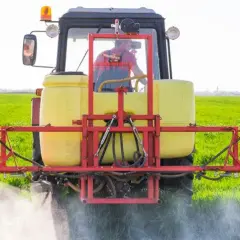 Skuteczne opryski na pszenicę jarą: zwalcz chwasty efektywnie