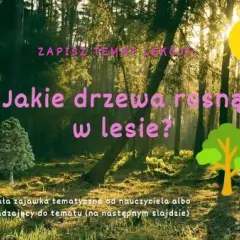 Jakie drzewa rosną w lesie klasa 4 - poznaj ciekawe gatunki drzew