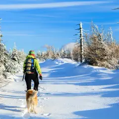 Gdzie z psem w góry Zakopane - najlepsze miejsca na spacery z psem