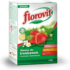 Jaki nawóz na wiosnę na truskawki zapewni obfite plony i zdrowy wzrost?