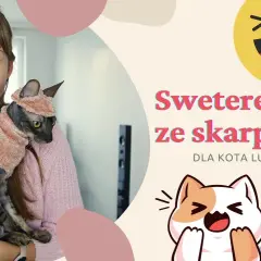 Jak zrobić kota ze skarpetki - proste kroki na wyjątkowy projekt DIY