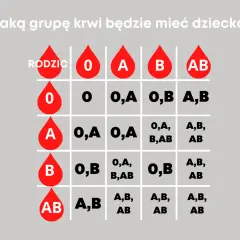 Jaką grupę krwi ma dziecko po rodzicach? zaskakujące zasady dziedziczenia