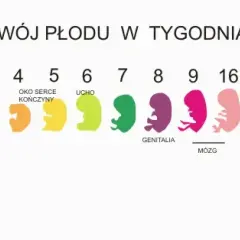 Poród a rozwój dziecka: jak wpływa na zdrowie i emocje malucha?