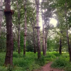 Park linowy Stary Sącz - poznaj trasy i emocje w Lemurze