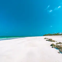 Kiedy jechać do Kenii? Poznaj najlepsze terminy na safari i plaże