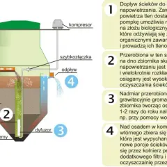 Oczyszczalnia ścieków krok po kroku: Jak naprawdę działa magiczna fabryka czystej wody