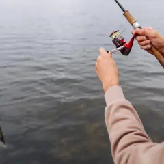 Gdzie można łowić ryby bez karty wędkarskiej? Oto najlepsze miejsca