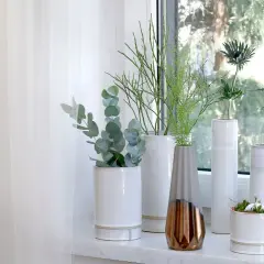 Dlaczego warto wybrać coś zamiast kwiatów na parapet - inspiracje i pomysły