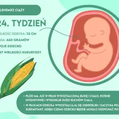 24 tydzień ciąży: jak wygląda dziecko i co się zmienia w rozwoju