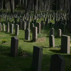 Ile kosztuje miejsce na cmentarzu na Wólce Węglowej? Ceny i szczegóły
