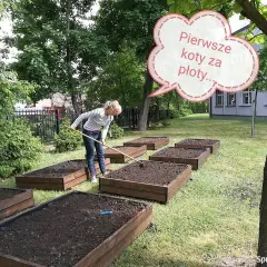 Ile kosztuje tona ziemi pod trawnik? Sprawdź ceny i uniknij przepłacania!