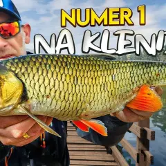 Najlepsze przynęty na klenia spinning - skuteczne metody łowienia