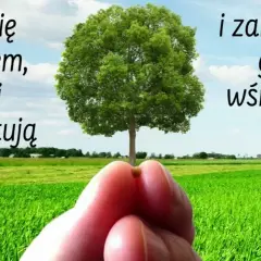 Przypowieść o gorczycy: Jak małe zaczyna rosnąć w wielkie?