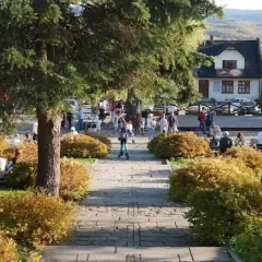 Gdzie zjeść w Lanckoronie? Najlepsze restauracje, które musisz poznać