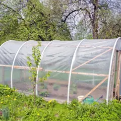 Jak zrobić konstrukcję tunelu foliowego – uniknij najczęstszych błędów
