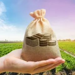 Ile trzeba mieć ziemi, żeby nie płacić podatku od nieruchomości? Sprawdź szczegóły