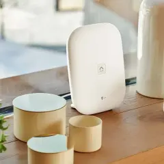 Jaki internet mobilny wybrać, aby cieszyć się szybkim dostępem?